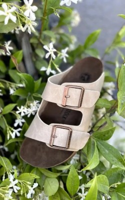 Arizona Bej Arizona Bej