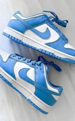 Dunk Mavi